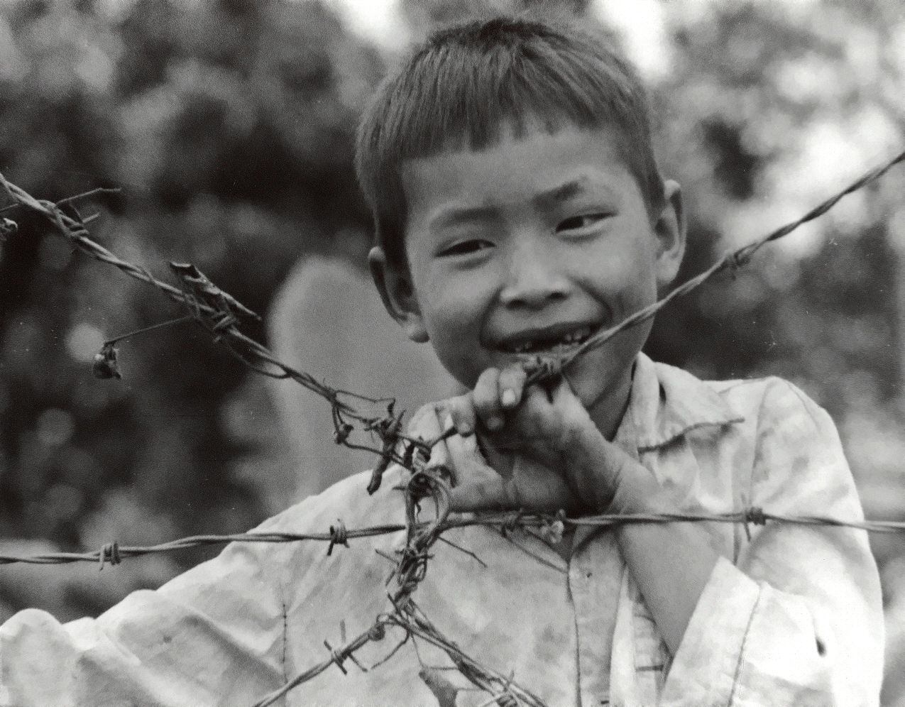Boy and barbed wire
